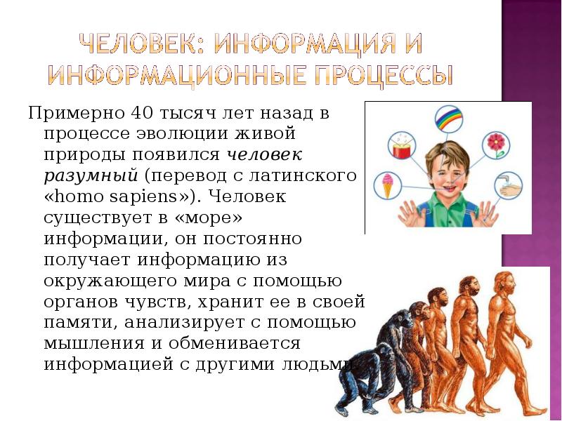 Homo с латинского. Перевод человек разумный. Homo sapiens перевод с латинского. Хомо сапиенс перевод с латыни. Человек получает сообщения.