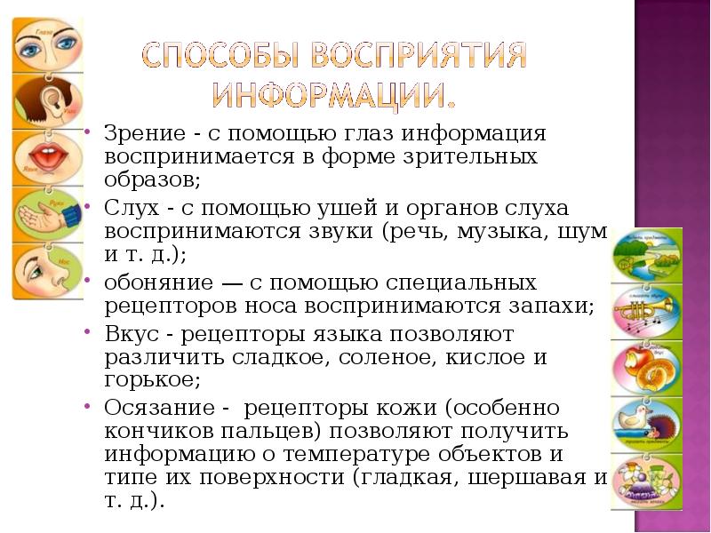 Визуальная форма. Информация воспринимаемая органами зрения. Формы зрительных образов Информатика. Какая информация воспринимается органом зрения. Укажите какая информация воспринимается органом зрения.