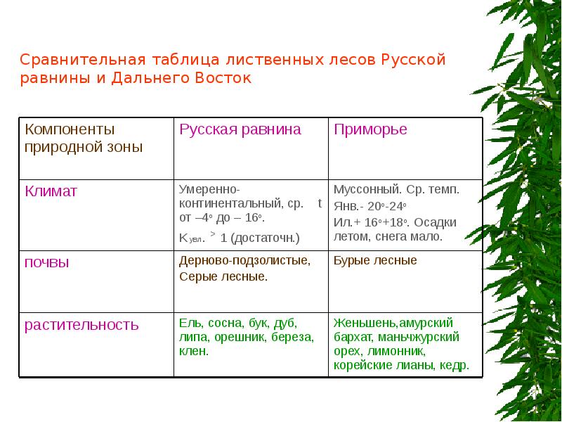 Почему размещение почв дальнего востока отличается от схемы зональности русской равнины кратко