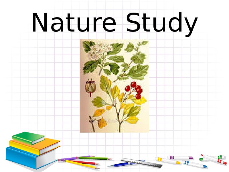 Studied перевести. Nature study. Nature study школьный предмет. Nature study subject. Nature study перевод.