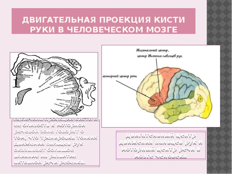 Речь на кончиках пальцев презентация