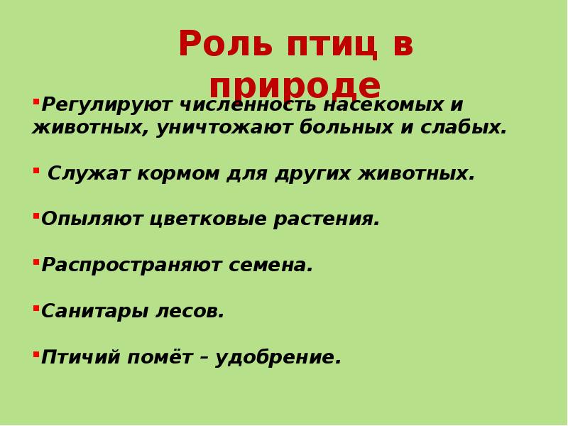 Природа регулирует. Роль птиц в природе. Небольшая презентация о роли птиц в жизни человека. Птицы регулируют численность насекомых. Санитарная роль птиц.