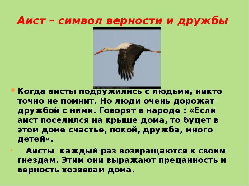 Аист у многих народов считается птицей приносящей счастье план текста из трех пунктов