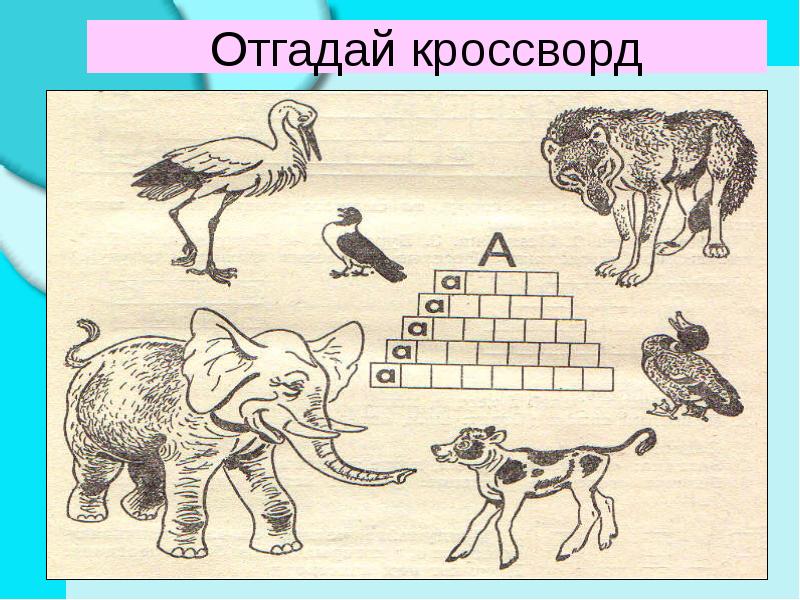 Отгадай кроссворд Отгадай кроссворд