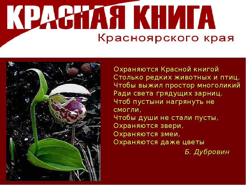 Красная книга красноярского края презентация