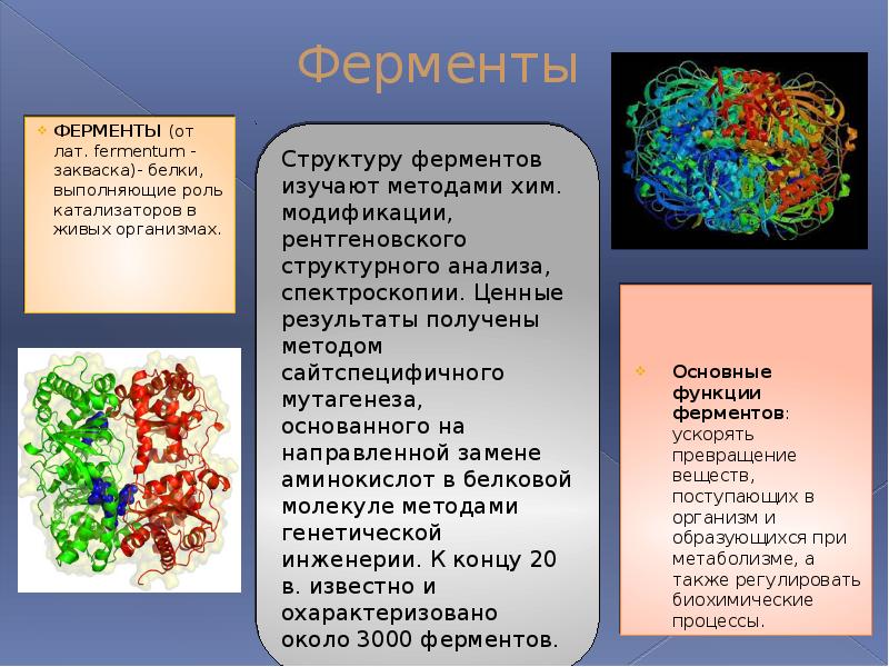 Катализаторы живых клеток. Витамины гормоны ферменты и их роль. Ферменты человеческого организма. Ферменты сообщение. Ферменты с четвертичной структурой.