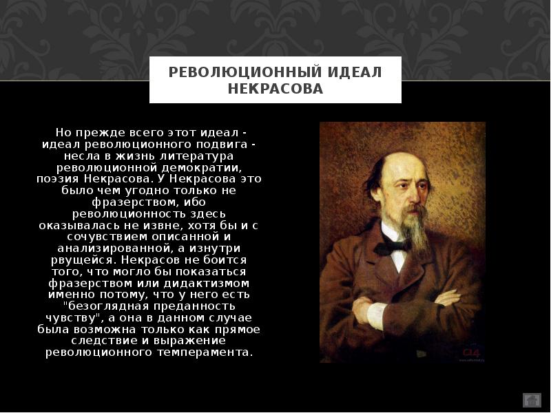 Социализм революционный идеал террор в русской литературе 19 века презентация