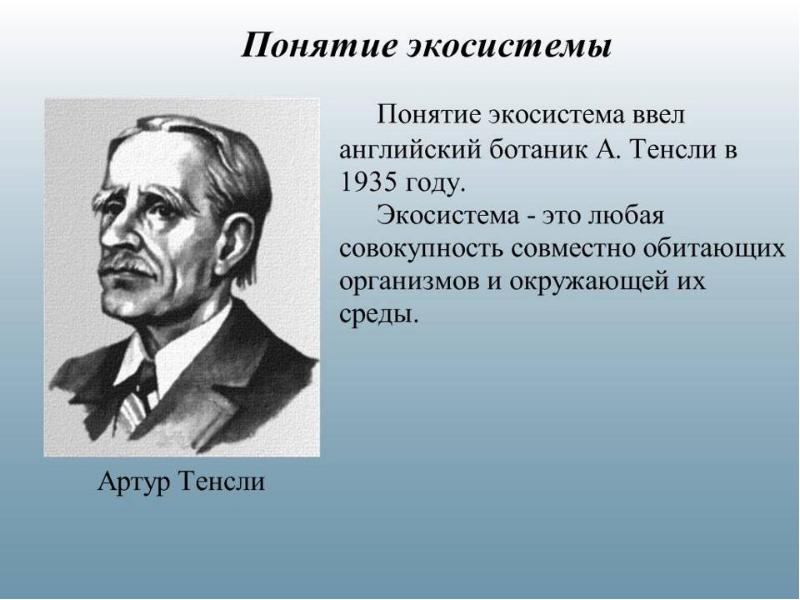 Понятия открытый. Термин экосистема Тенсли. Экосистема презентация. Презентация на тему экосистема. Тенсли экология.