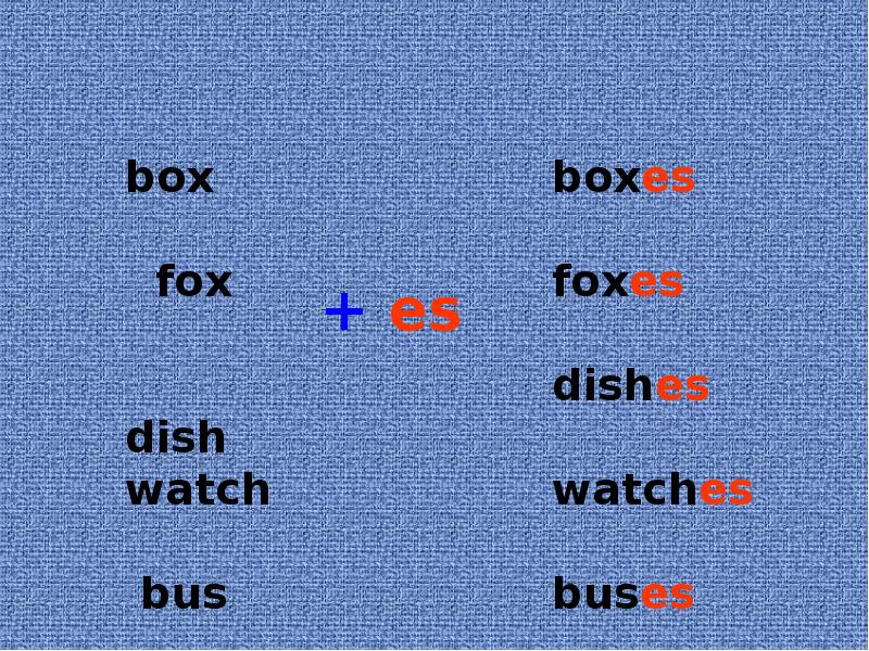 Английское слово dish. Fox во множественном числе на английском. Box во множественном числе на английском. Bus множественное число в английском языке. Fox множественное число в английском языке.