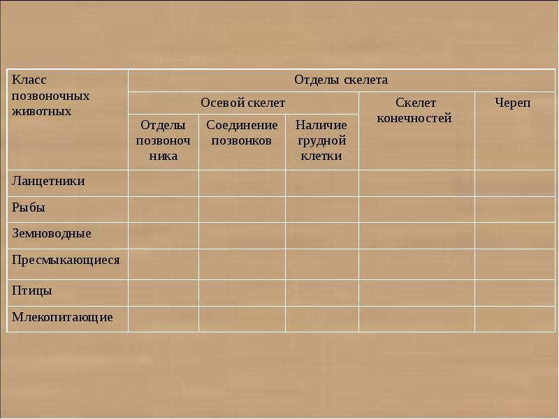 Заполнить таблицу по биологии 7 класс. Класс позвоночных животных таблица отделы скелета 7 класс. Биология 7 класс таблица класс позвоночных животных отделы скелета. Отделы скелета таблица 7 класс. Таблица отделы скелета класс позвоночных животных.