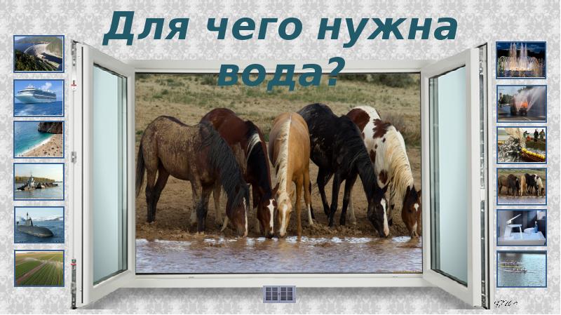 Проект для чего нужна вода