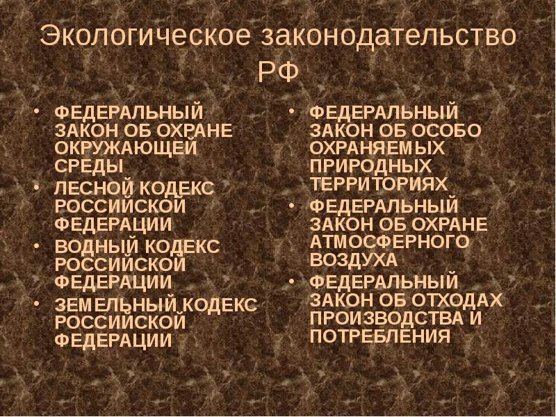 Экологическое настоящее и будущее россии презентация