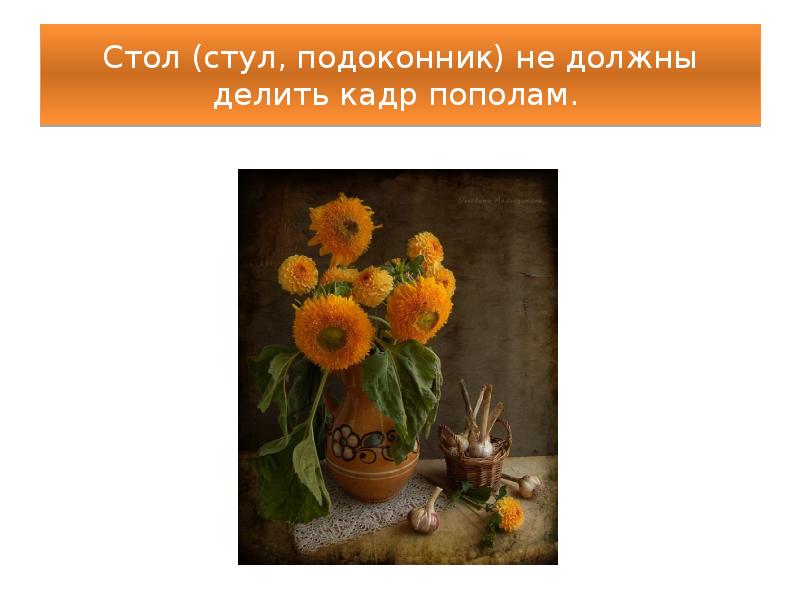 Стол (стул, подоконник) не должны делить кадр пополам. Стол (стул, подоконник) не должны делить кадр пополам.