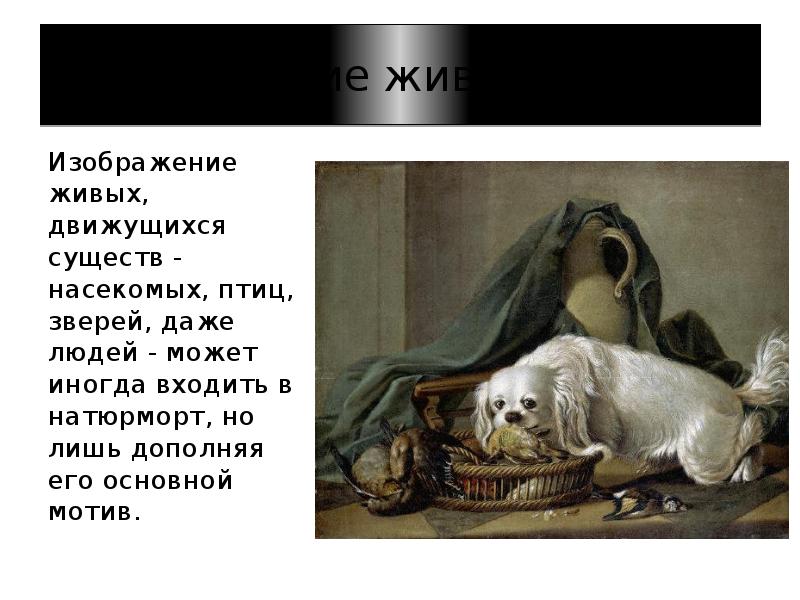 Изображение живых существ
Изображение живых, движущихся существ - насекомых, птиц, зверей, Изображение живых существ
Изображение живых, движущихся существ - насекомых, птиц, зверей,