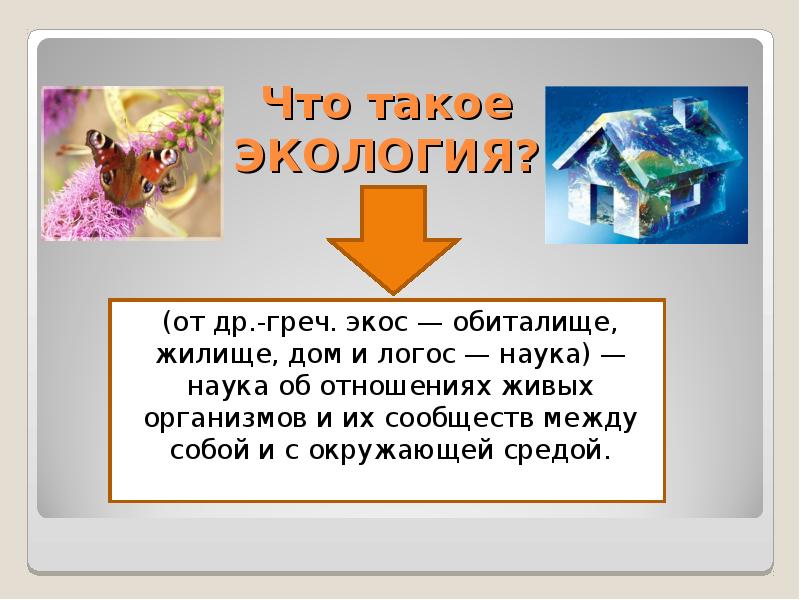 Что такое экос