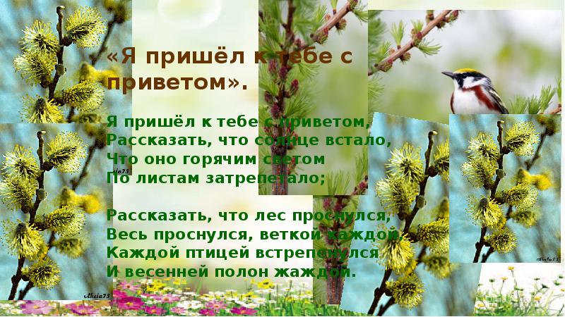 Рассказать что солнце встало. Стих я пришёл к тебе с приветом рассказать. Я пришёл к тебе с приветом картинки птиц.