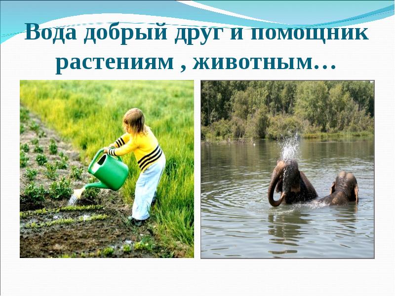 Вода кровь земли проект