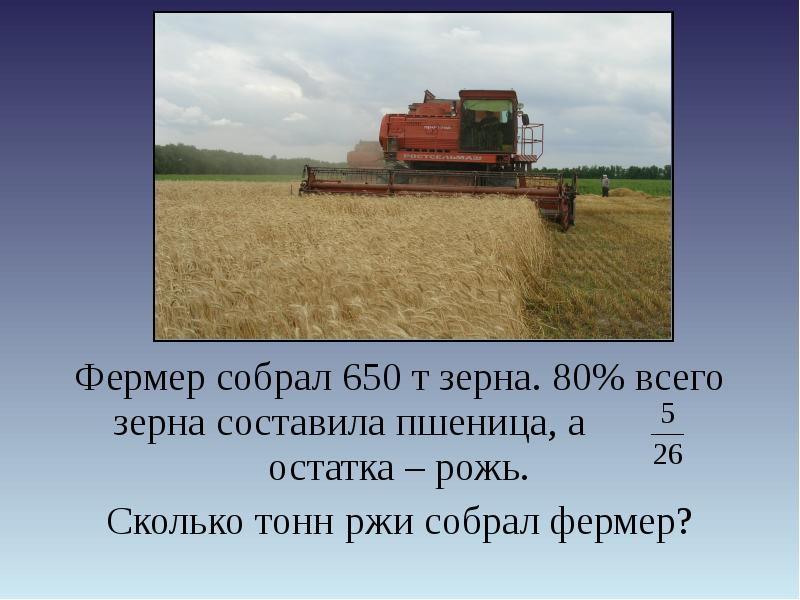 Сколько тонн пшеницы собрал. Фермер собрал 650 т зерна 80. Фермер собрал 8 т. Фермерское хозяйство собрало 960 т зерна 75. Сколько собирал ржи.