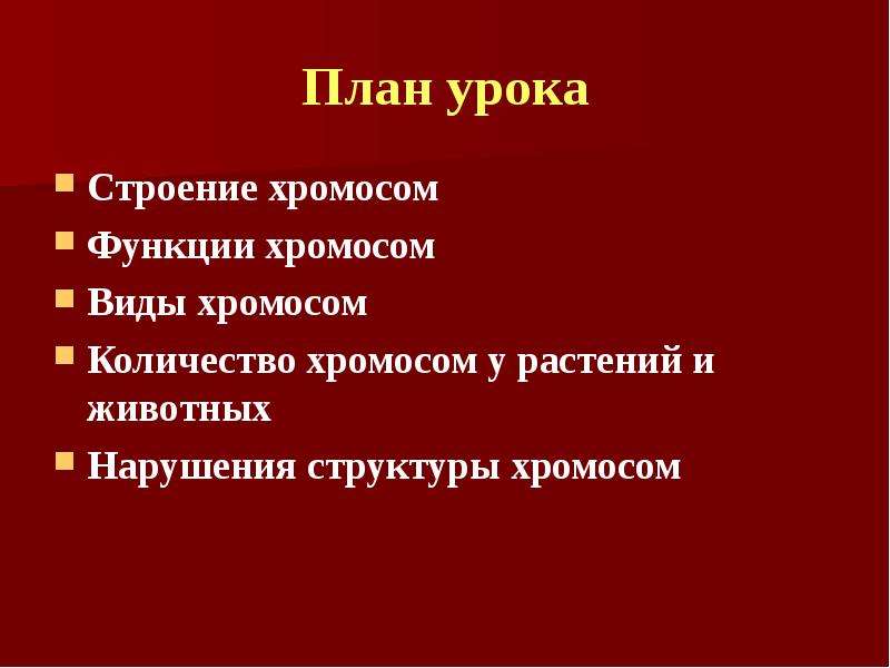 Строение и функции хромосом презентация