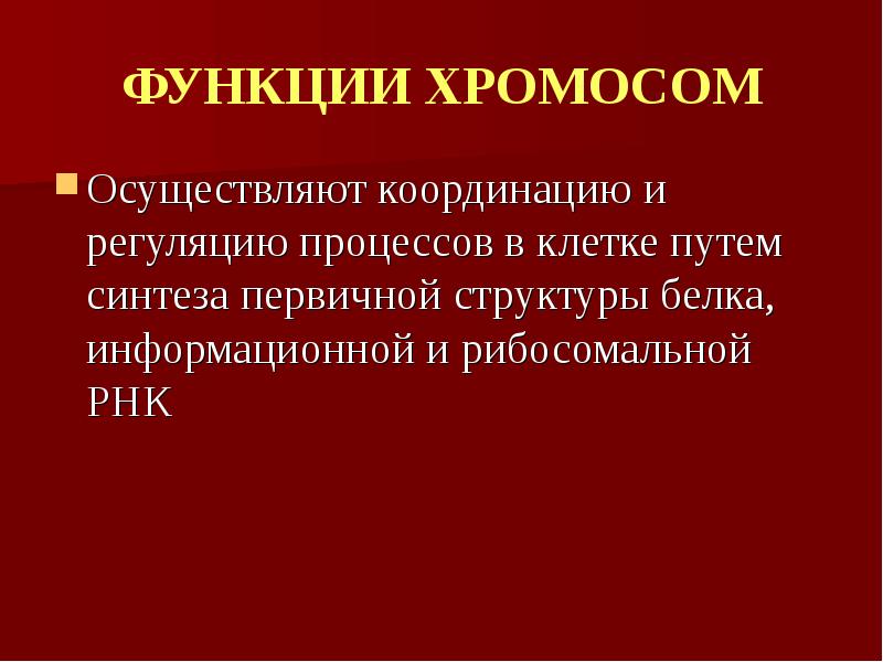 Строение и функции хромосом презентация