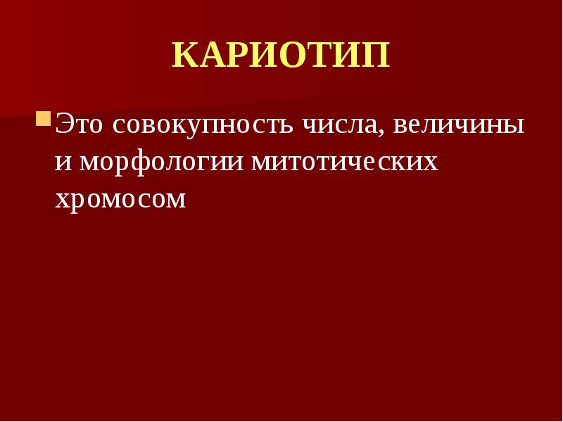 Строение и функции хромосом презентация