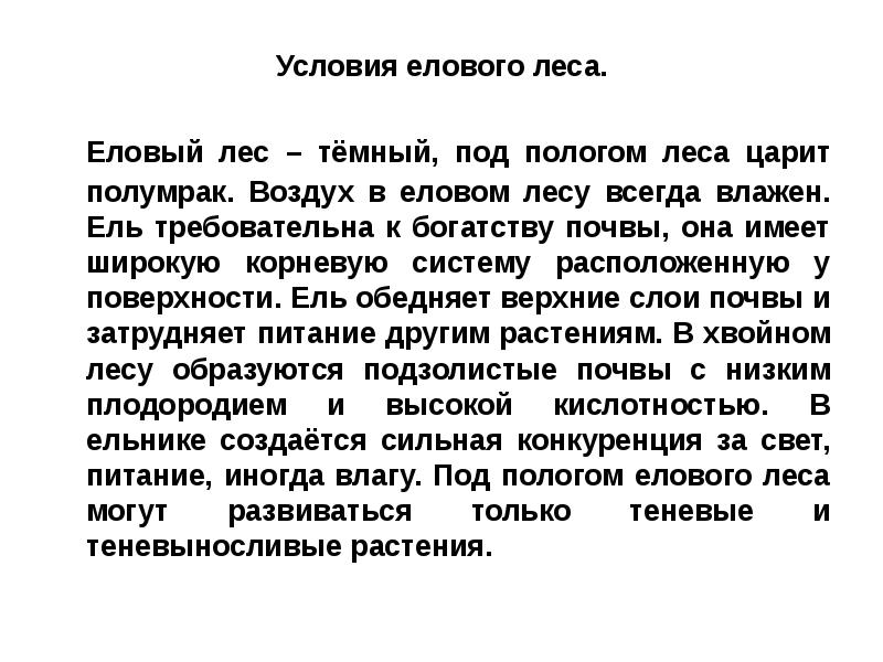 Условия леса. Условия елового леса. Условия в еловом лесу. Условия жизни в еловом лесу. Условия жизни растений в еловом лесу.