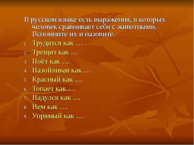 В русском языке есть выражение. Сравнение людей с животными фразы. Выражения в которых человек сравнивает себя с животными. В русском языке есть выражения в которых человек. В русском языке есть выражения в которых человек сравнивает.