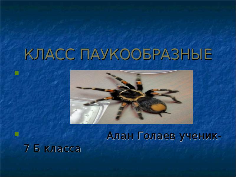 Адаптация паукообразных. Класс паукообразные. Паукообразные презентация. Презентация паукообразные 7 класс биология. Доклад про паукообразных 7 класс по биологии.