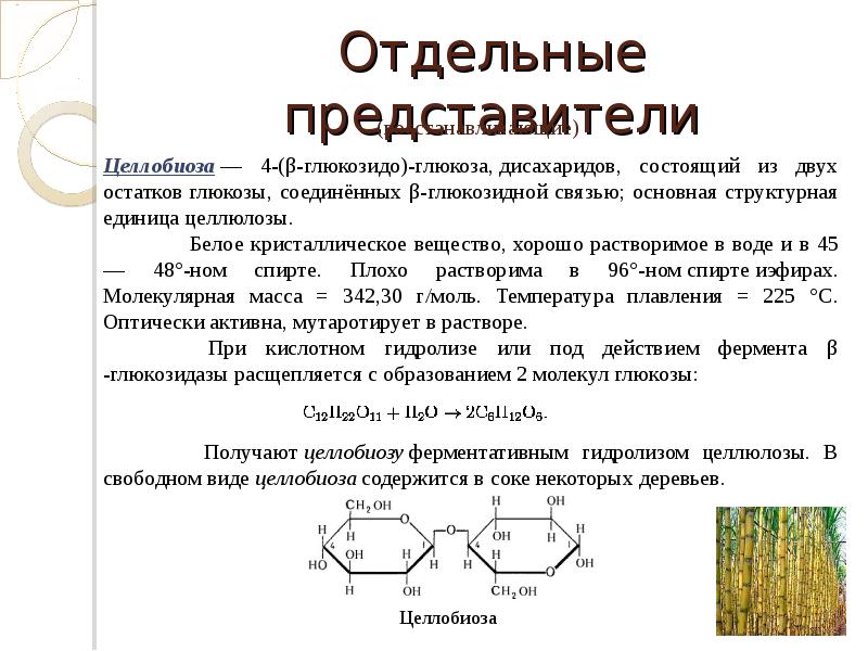 Презентация на тему дисахариды