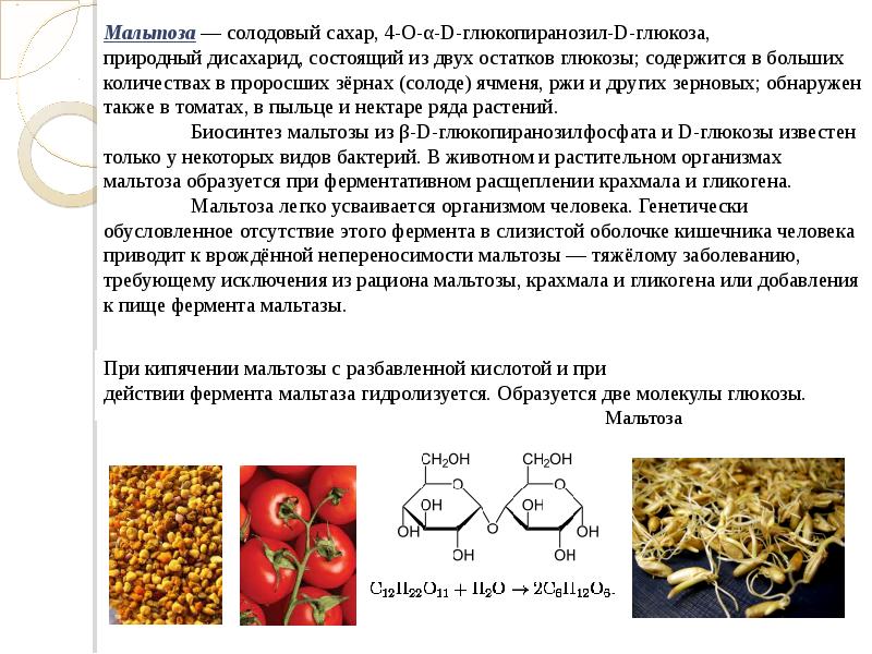 Химия дисахариды презентация