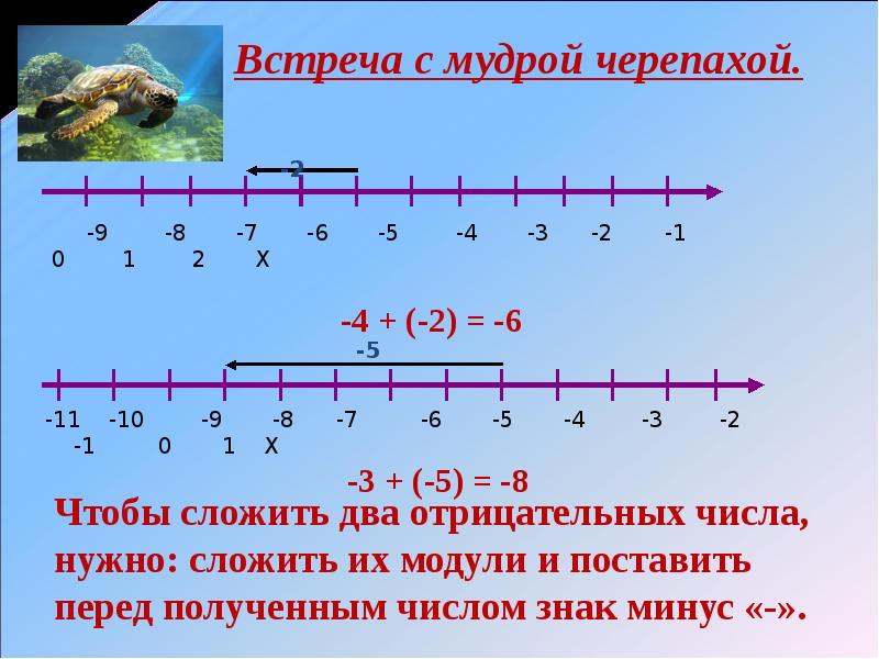 Отрицательные числа. Отрицательные числа 6 класс. Положительные и отрицательные числа. Положительные и отрицательные числа 6 класс. Что такое отрицательные числа 6 класс математика.