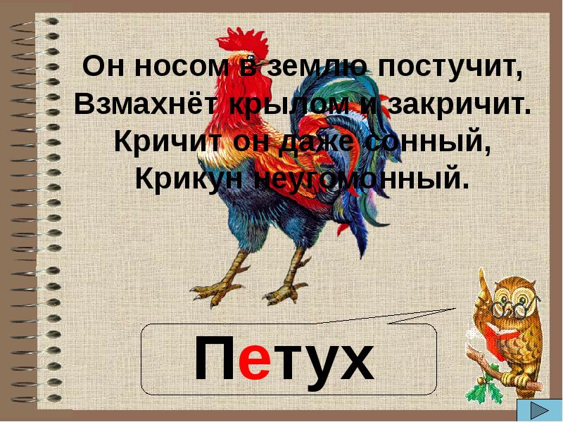 Слово петух звуки