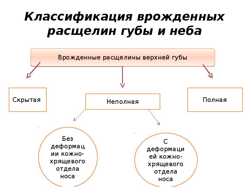 Виды расщелин при ринолалии картинки