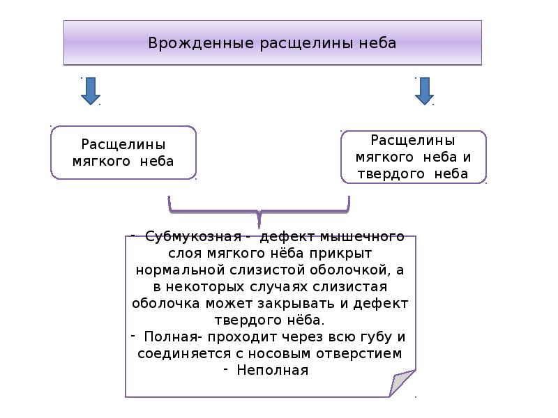 Виды расщелин губы и неба при ринолалии схема