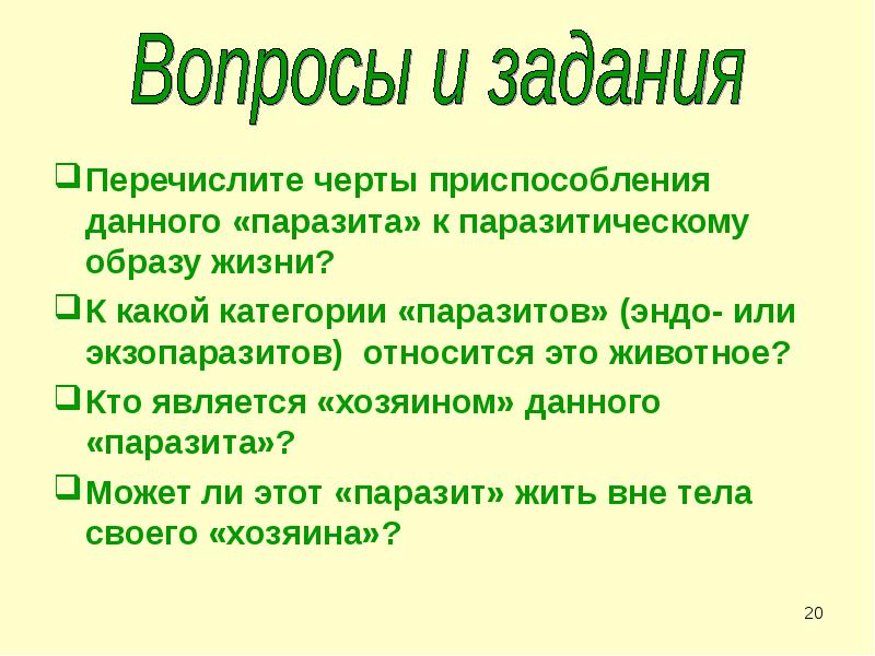 Перечислите черты приспособления данного «паразита» к паразитическому образу жизни?
Перечислите черты Перечислите черты приспособления данного «паразита» к паразитическому образу жизни?
Перечислите черты