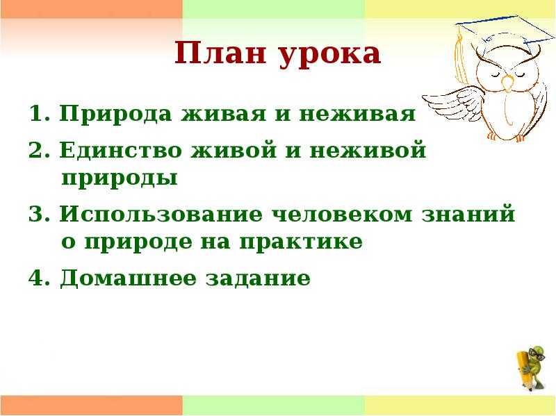 Единство живой и неживой природы презентация