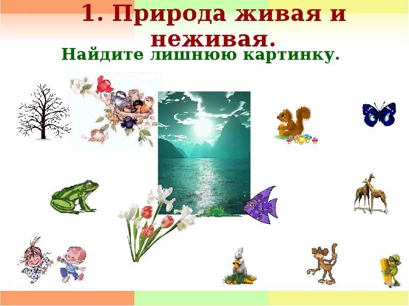 Неживая природа картинки 2 класс