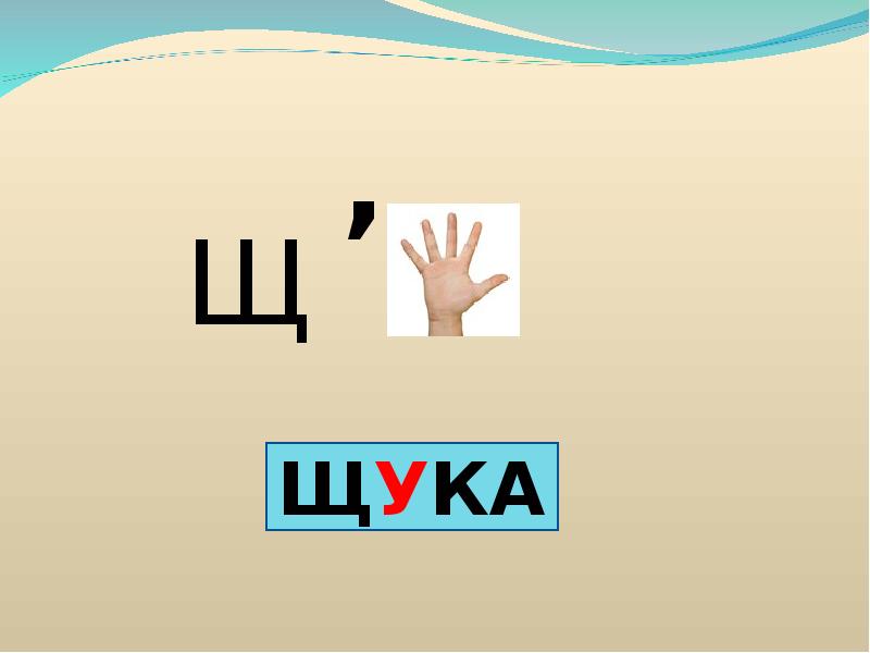 Правописание ча ща. Правописание ча ща Чу ЩУ. Правописание ча ща Чу ЩУ 1 класс. Живые существа Чу ЩУ 1 класс.