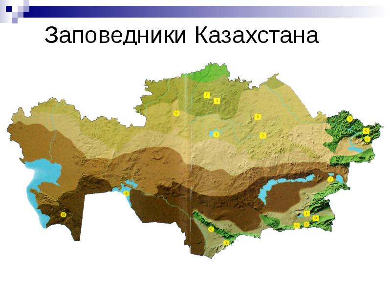 Карта лесов казахстана