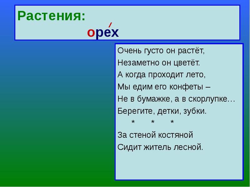 Презентация словарное слово класс