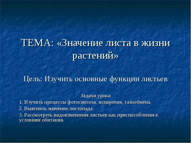 Листья в жизни растений. Значение листа для растения. Функция листа в жизни растений. Значение листа в жизни растения. Значение листьев в жизни растений.