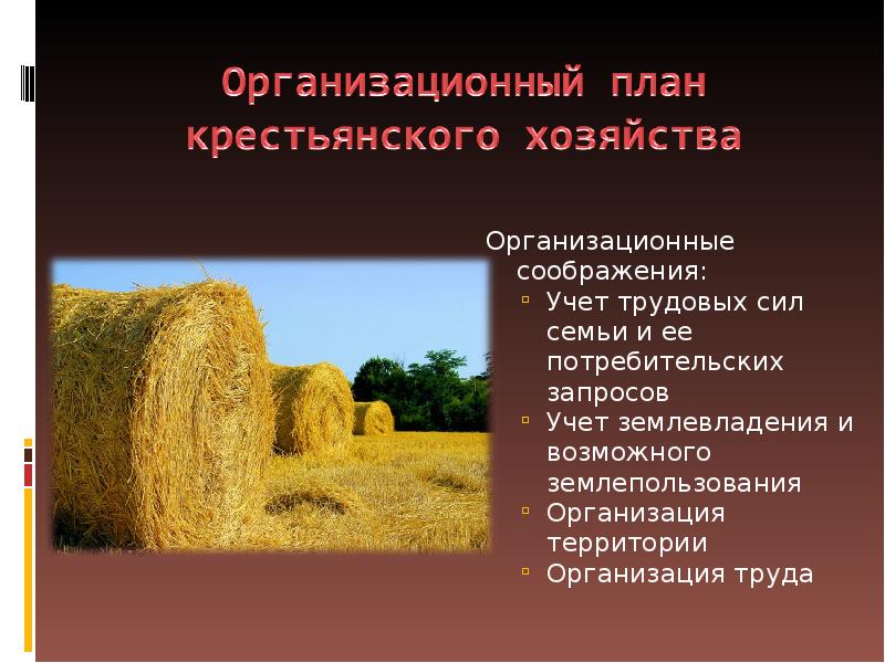 Придумай сюжеты для рисунков на тему труд в крестьянском хозяйстве