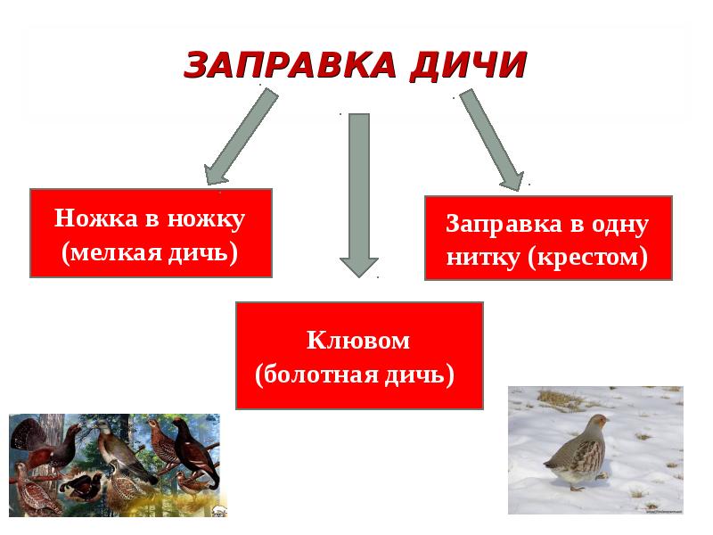 Презентация на тему дичь