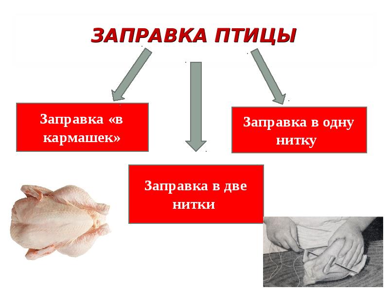 Первичная обработка птицы презентация