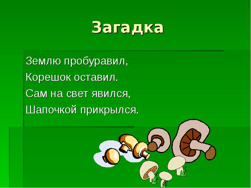 Загадки о земле и растениях. Землю пробуравил загадка. Загадки слайд. Загадки о почве. Загадки о растениях Лесной зоны.