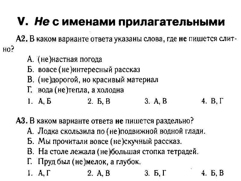Имя прилагательное 6 класс вариант 2. Имя прилагательное 6 класс вариант 2