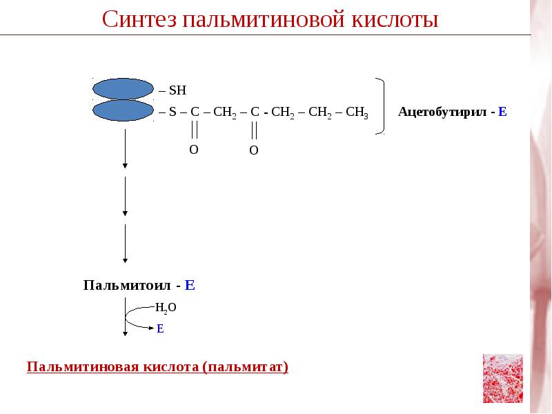 Презентация на тему пальмитиновая кислота