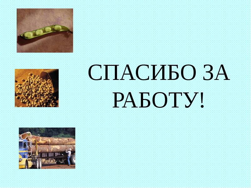 СПАСИБО ЗА РАБОТУ! СПАСИБО ЗА РАБОТУ!