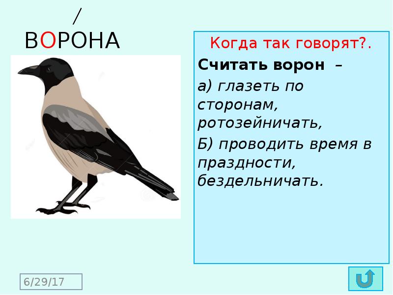 Значение слова ворона. Словарная работа ворона. Предложение про ворону. Однокоренные слова ворона и сорока. Ворон словарное слово.