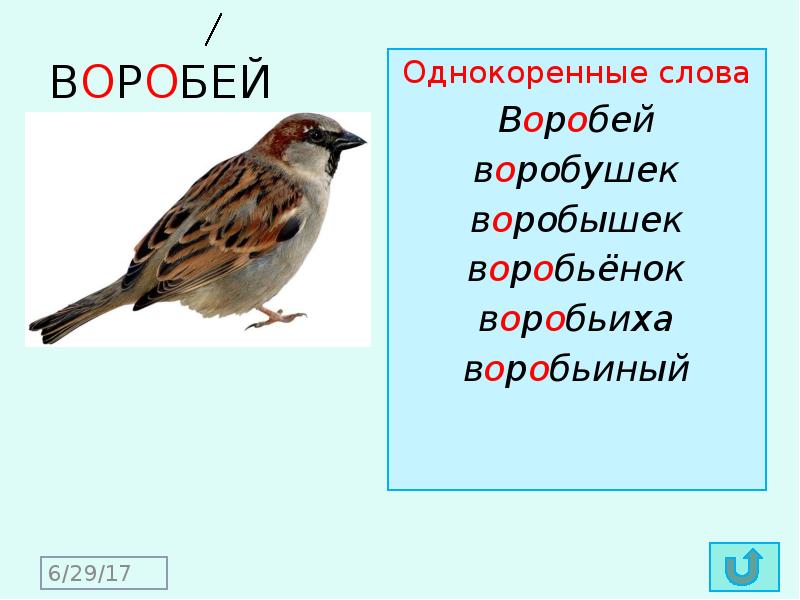 Словарные слова 1 класс в картинках презентация